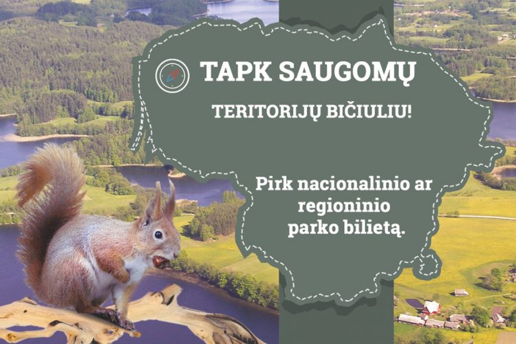 Lankytojo bilietas