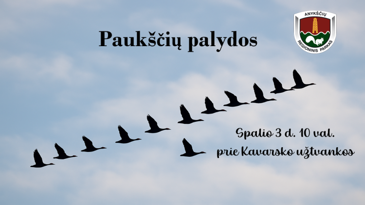 Paukščių palydos prie Kavarsko užtvankos