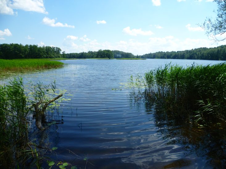 Tas vandenų žydrumas kviečia į bangas
