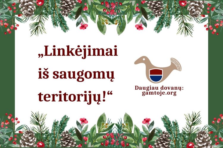 Rankų darbo kalėdinės dovanos iš saugomų teritorijų
