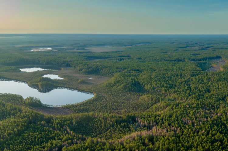 Projektas „Biologine įvairove turtingų miškų išpirkimas iš privačių miškų savininkų“ Nr. 01-042-P-0001