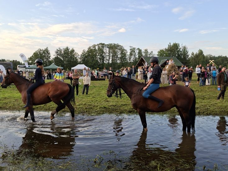 ŽIRGŲ MAUDYNIŲ TRADICIJA ANYKŠTĖNŲ NAKTIGONĖS ŠVENTĖJE – NEMATERIALAUS KULTŪROS VERTYBIŲ SĄVADE