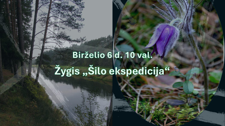 Žygis „Šilo ekspedicija“ Anykščių šilelyje