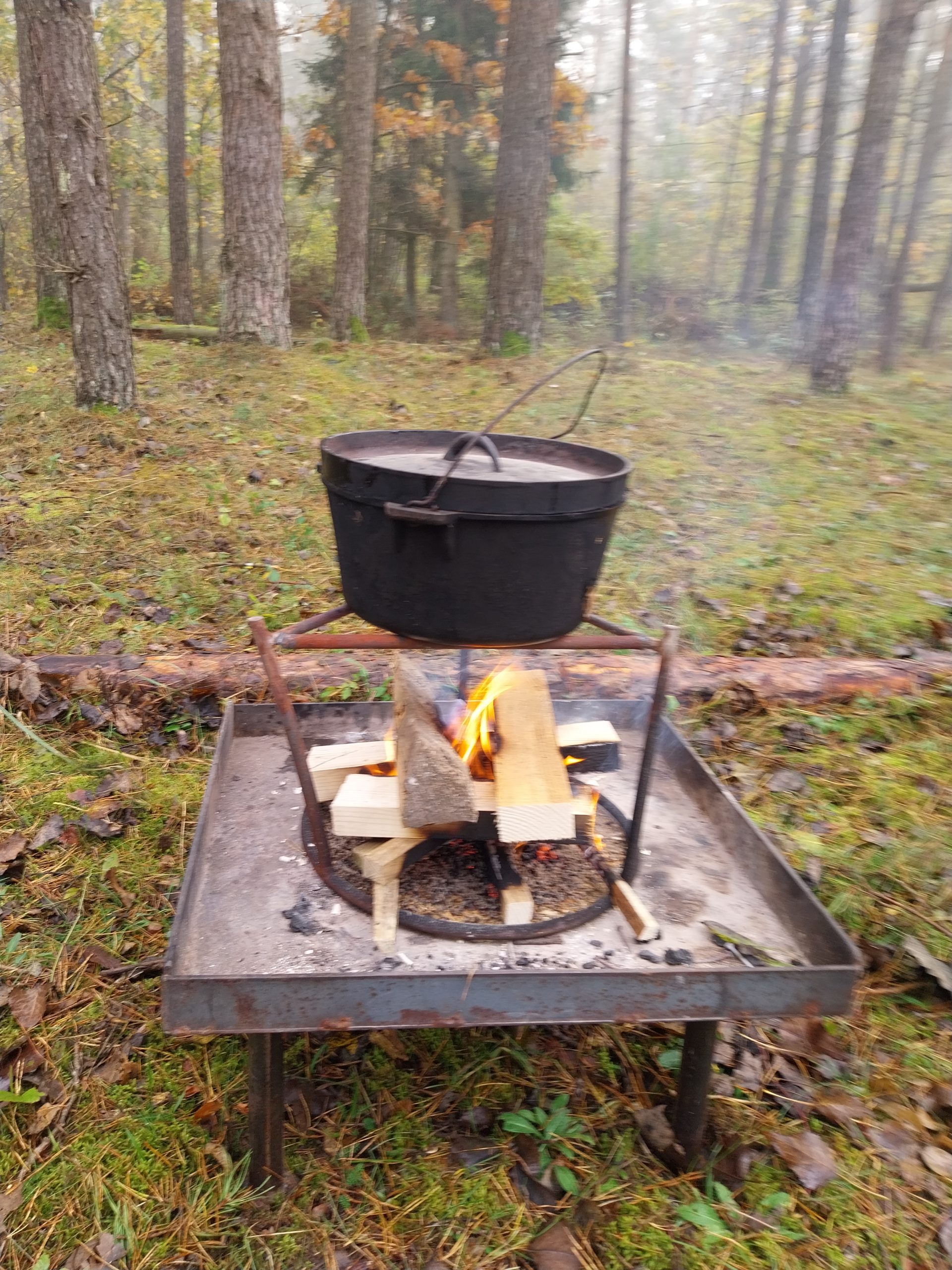 Savanorių pagalba gamtai po audros