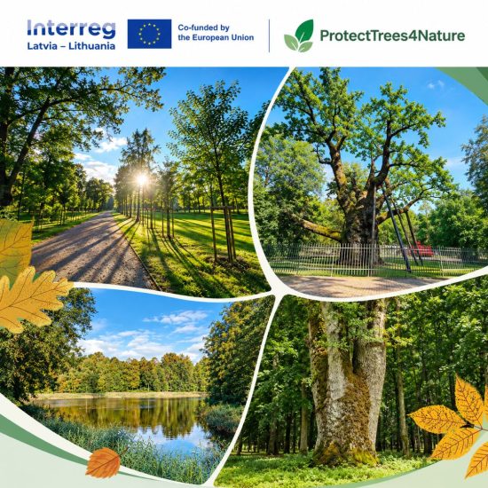 Įgyvendinamas tarptautinis projektas „ProtectTrees4Nature“, skirtas medžių ir parkų apsaugai bei biologinės įvairovės išsaugojimui